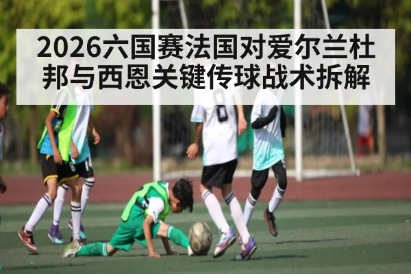 2026六国赛法国对爱尔兰杜邦与西恩关键传球战术拆解